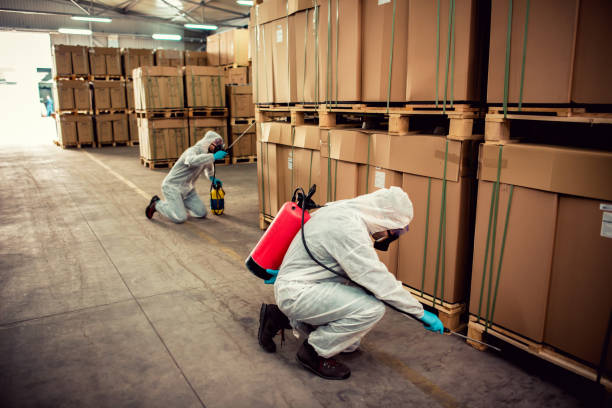 Best Flea Control Services  in Carter Lake, IA