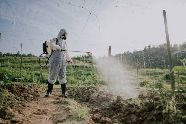 Best Commercial Pest Control Services  in Carter Lake, IA