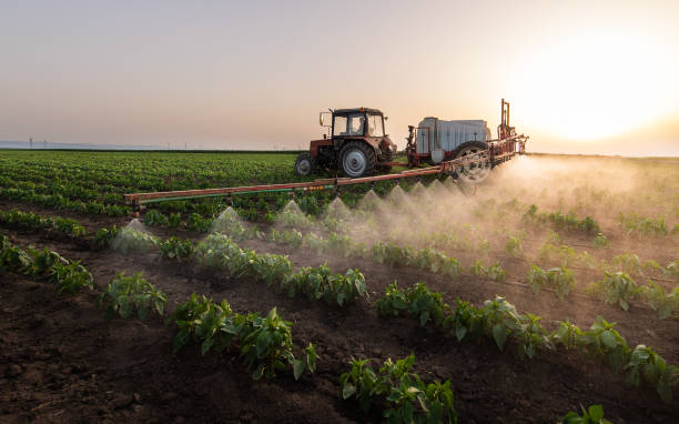 Best Pest Removal Services  in Carter Lake, IA