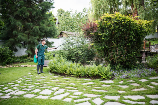 Best Affordable Pest Control Services  in Carter Lake, IA