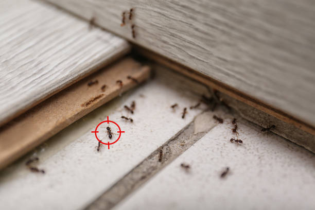 Best Wildlife Control Services  in Carter Lake, IA