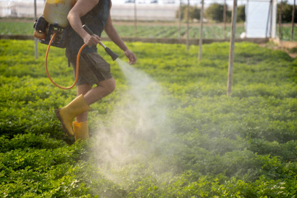 Best Best Pest Control Companies  in Carter Lake, IA