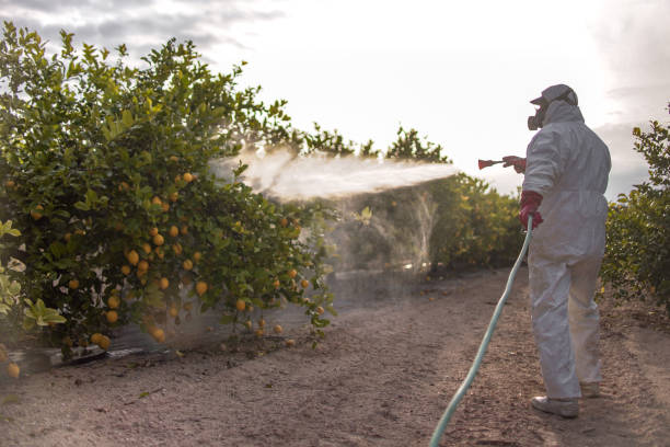 Best Pest Prevention Services  in Carter Lake, IA