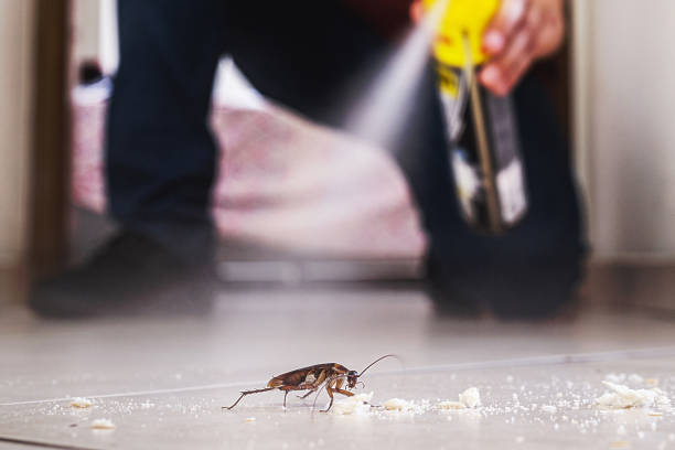 Best Best Pest Control Companies  in Carter Lake, IA