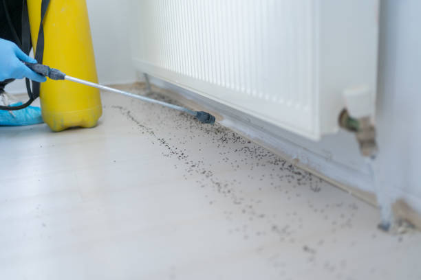 Best Exterminator Services  in Carter Lake, IA