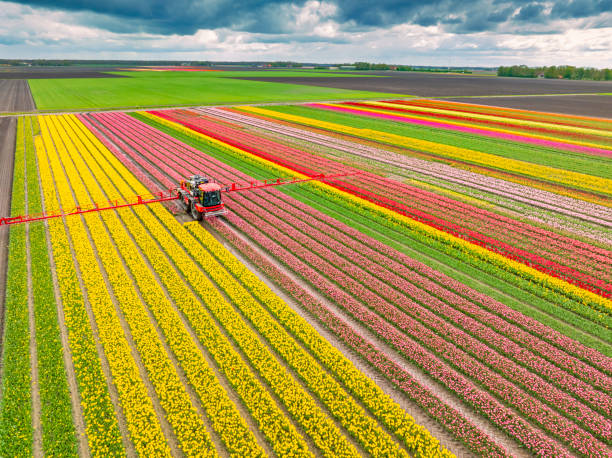 Best Pest Control for Homes  in Carter Lake, IA